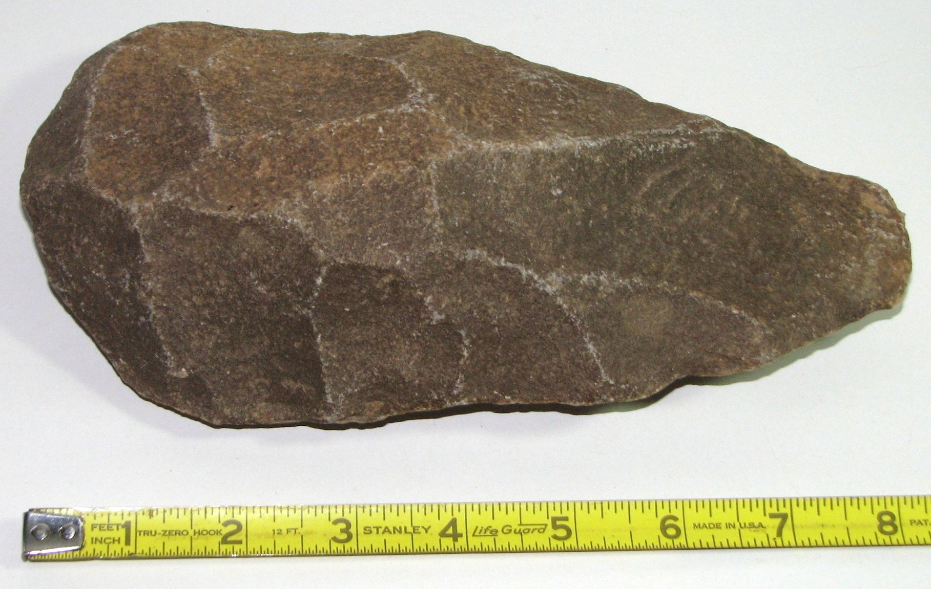 Cenozoic Era Lehigh Valley Museum of Natural History